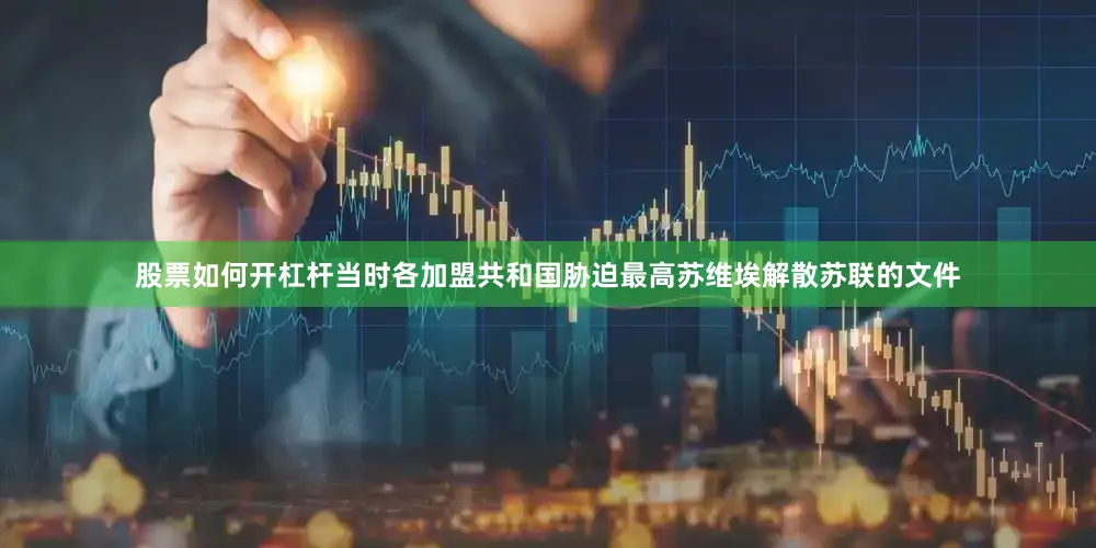 股票如何开杠杆当时各加盟共和国胁迫最高苏维埃解散苏联的文件