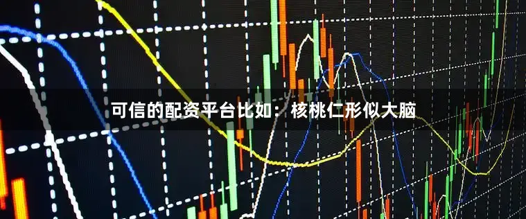 可信的配资平台比如：核桃仁形似大脑