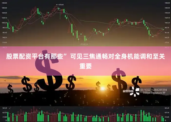 股票配资平台有那些” 可见三焦通畅对全身机能调和至关重要