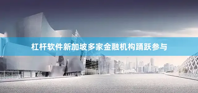 杠杆软件新加坡多家金融机构踊跃参与